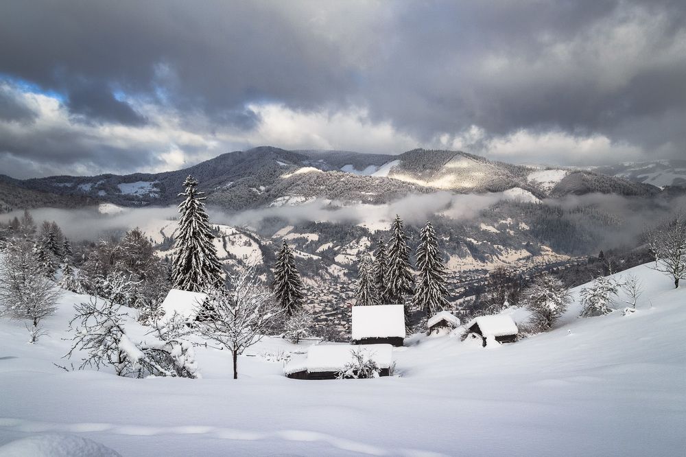 Photograph by Алексей Медведев