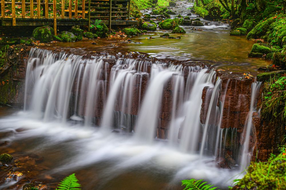 Photograph by AVIC A.M.