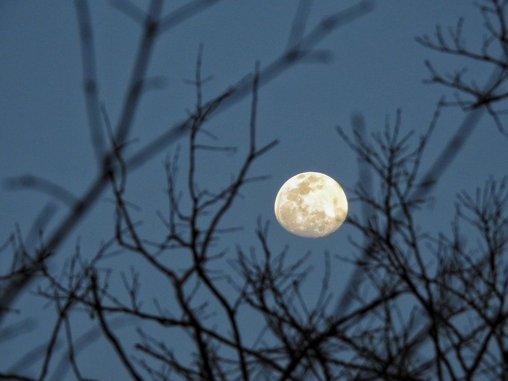 Photograph by Hirak Gogoi