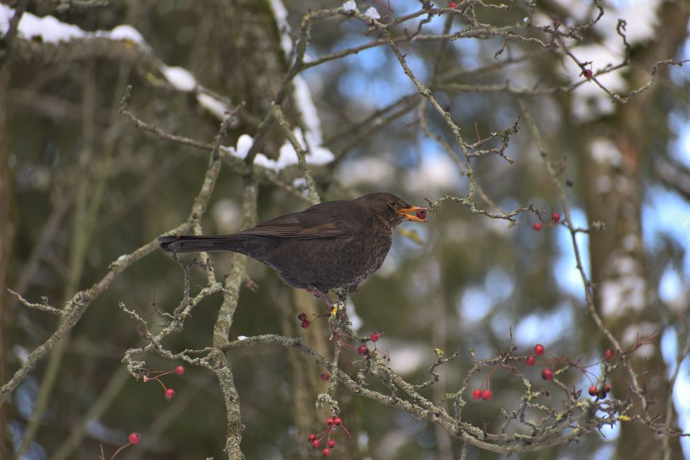 Photograph by Павел Юнусов