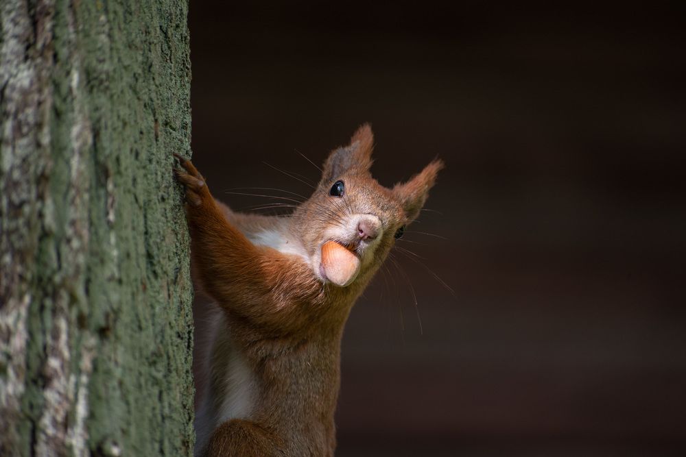 Photograph by Павел Юнусов