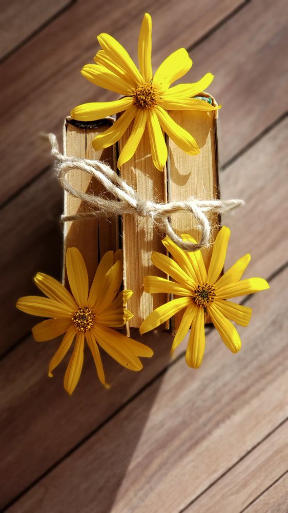 Фотография автора Елена Матвеева