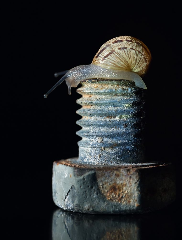 Photograph by Yuliia Nazarova