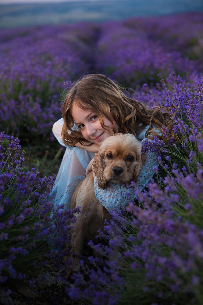 В лавандовом поле