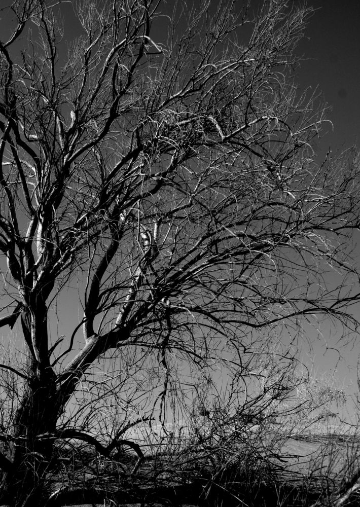 Photograph by Roozbeh Rahiminejat