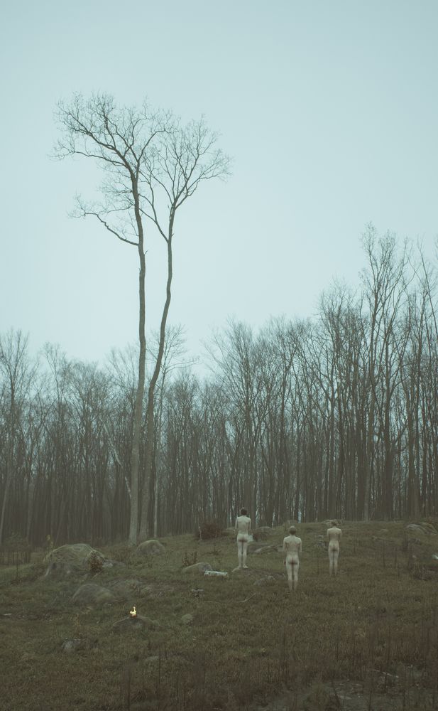 Photograph by Alexandr Garmash