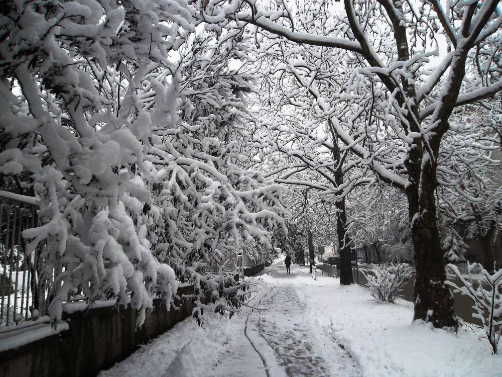 Photograph by Olga Vatkova