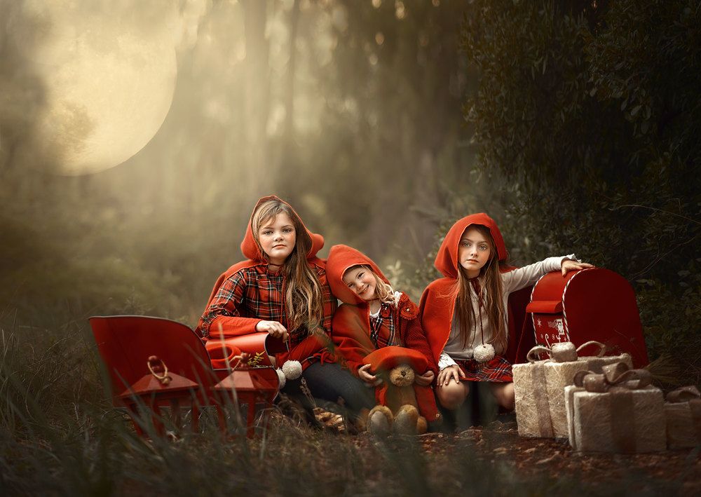 Chirstmas in the forest.