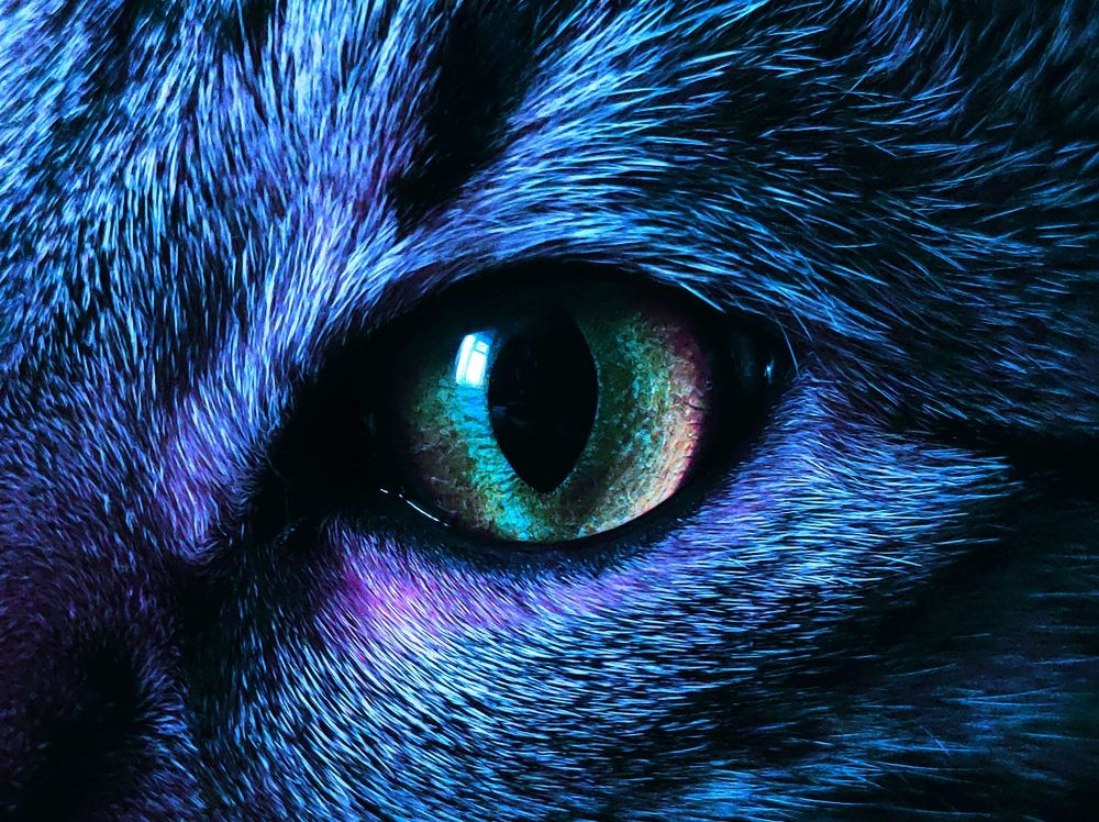 Photograph by Ирина Саттарова