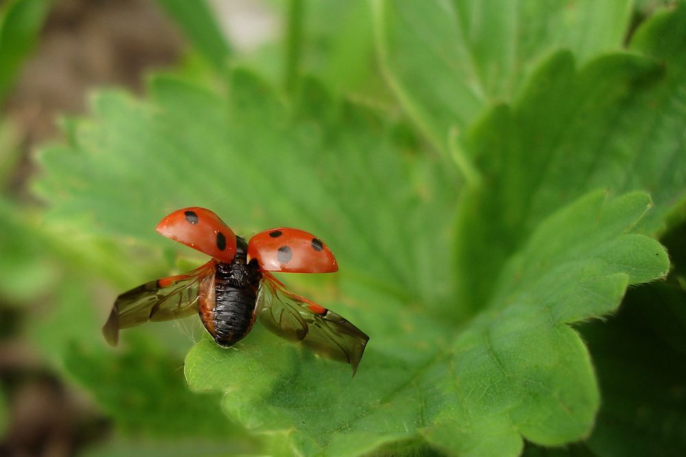 Photograph by Михаил Харитонычев