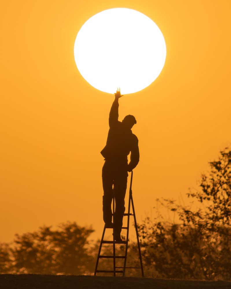 Ловец солнца