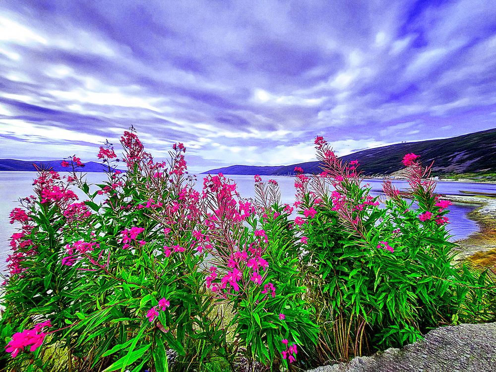 Photograph by Tatyana Romanova