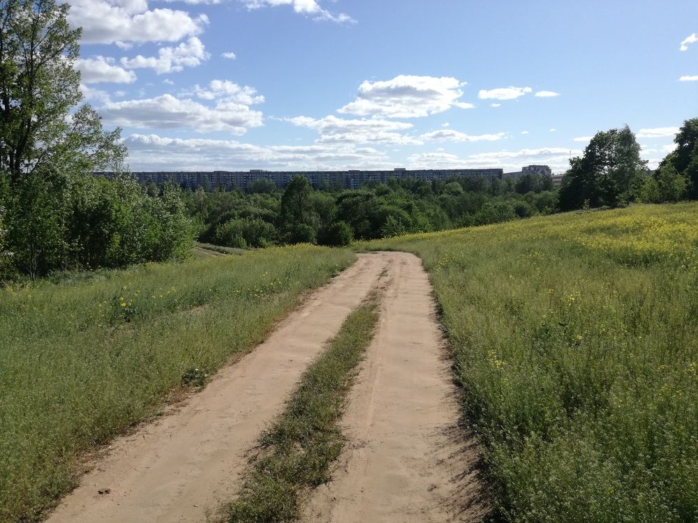 Photo #5625111