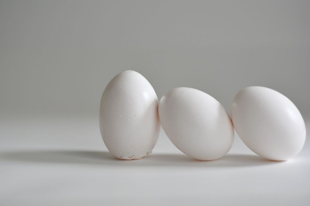 Photograph by Xenia Salonen