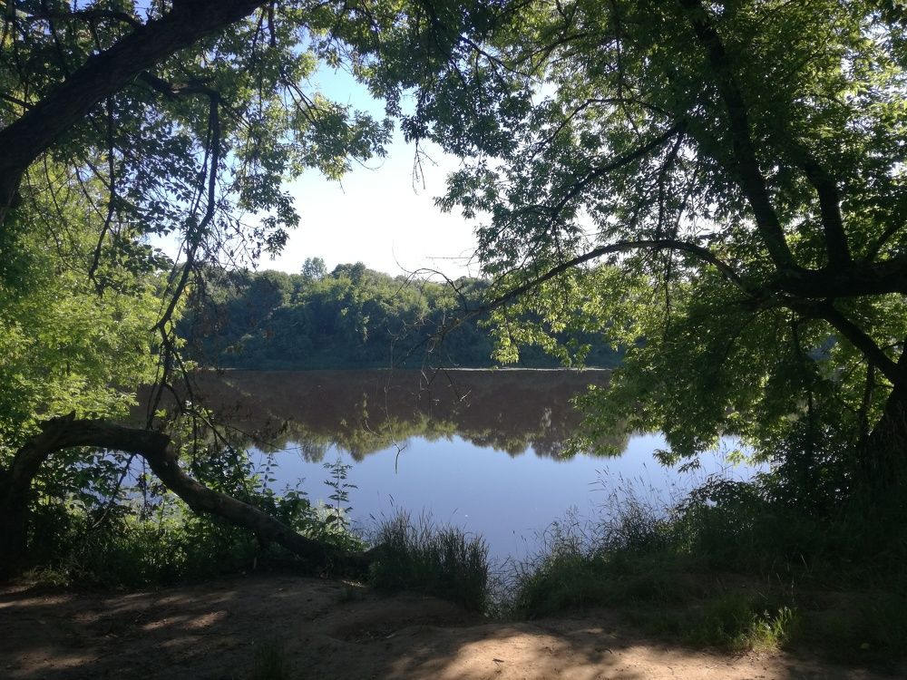 Photo #5625152