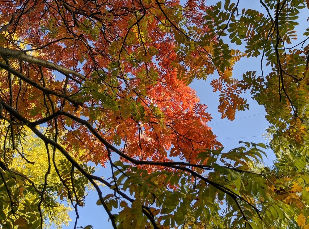 Photograph by Елена Болтенкова