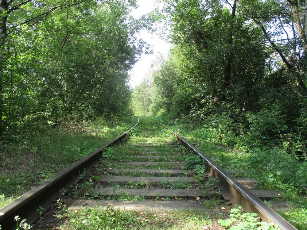 Photograph by Алексей Окороков