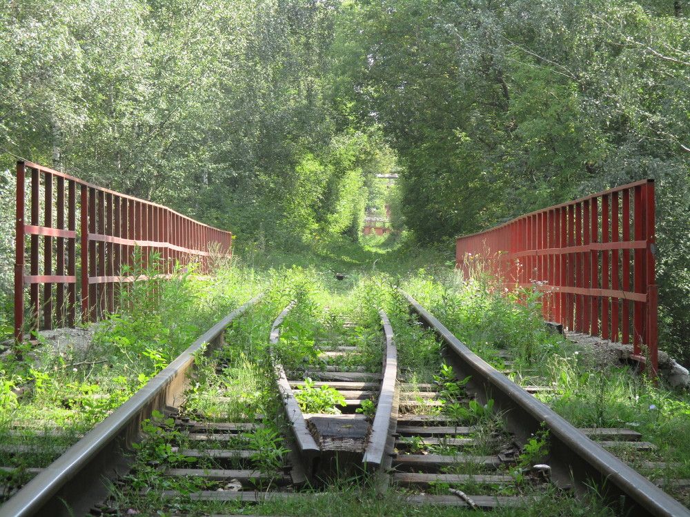 Photograph by Алексей Окороков