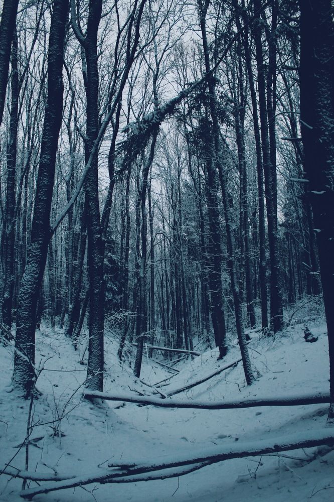 Photograph by Ирина Свистунова