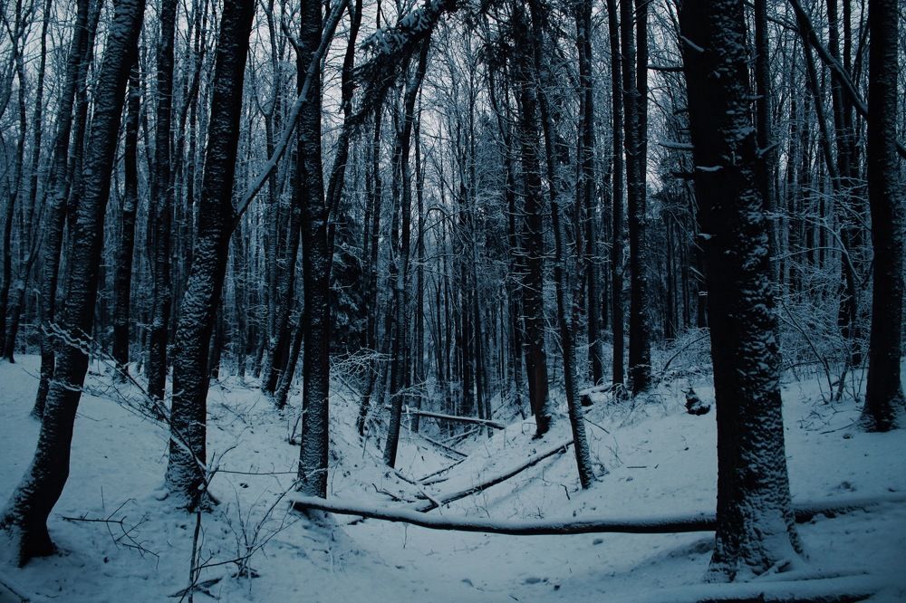 Photograph by Ирина Свистунова