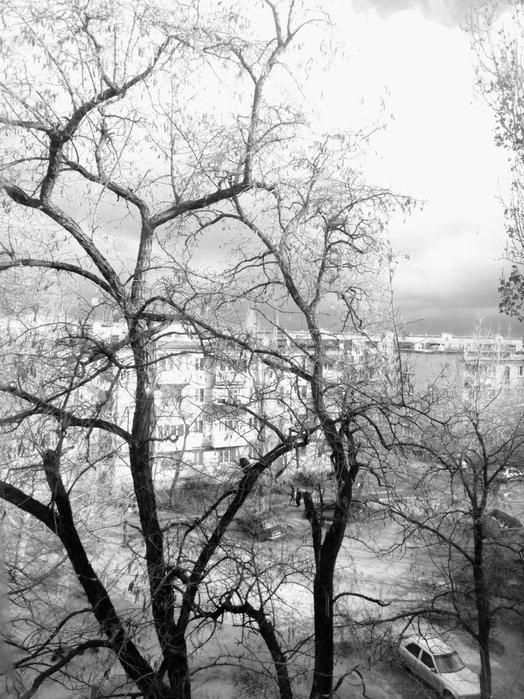 Photograph by Яна Крайнова