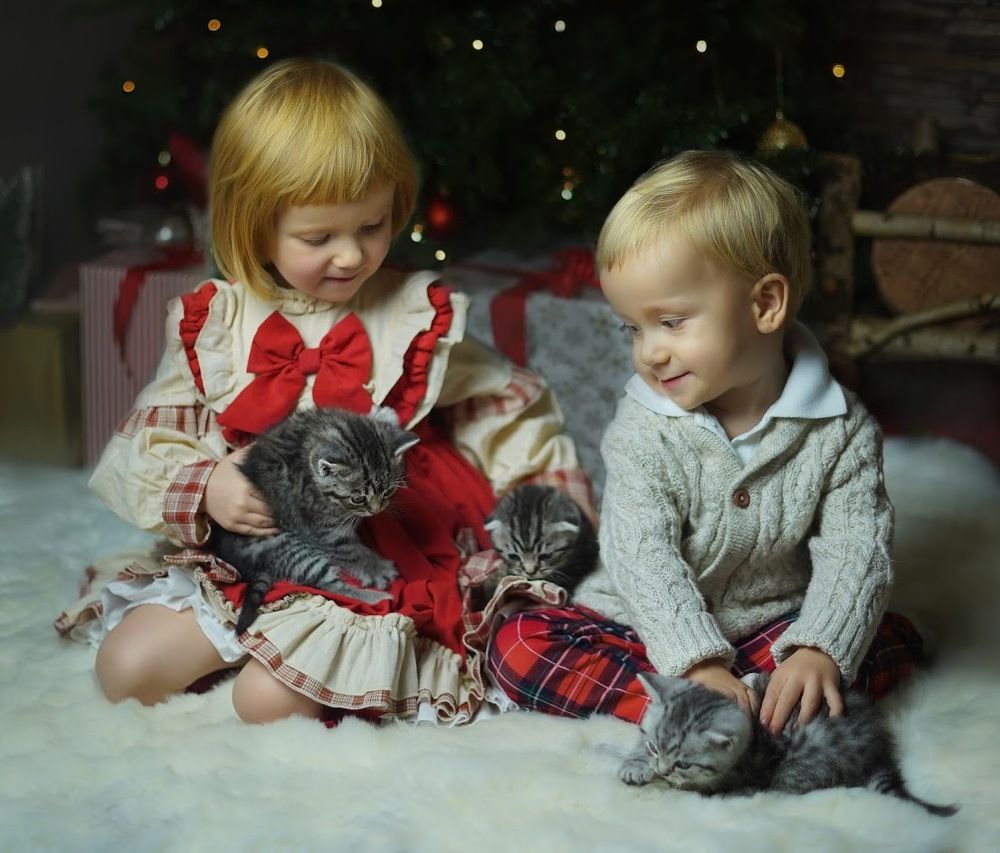 Photograph by Kristina Grimm