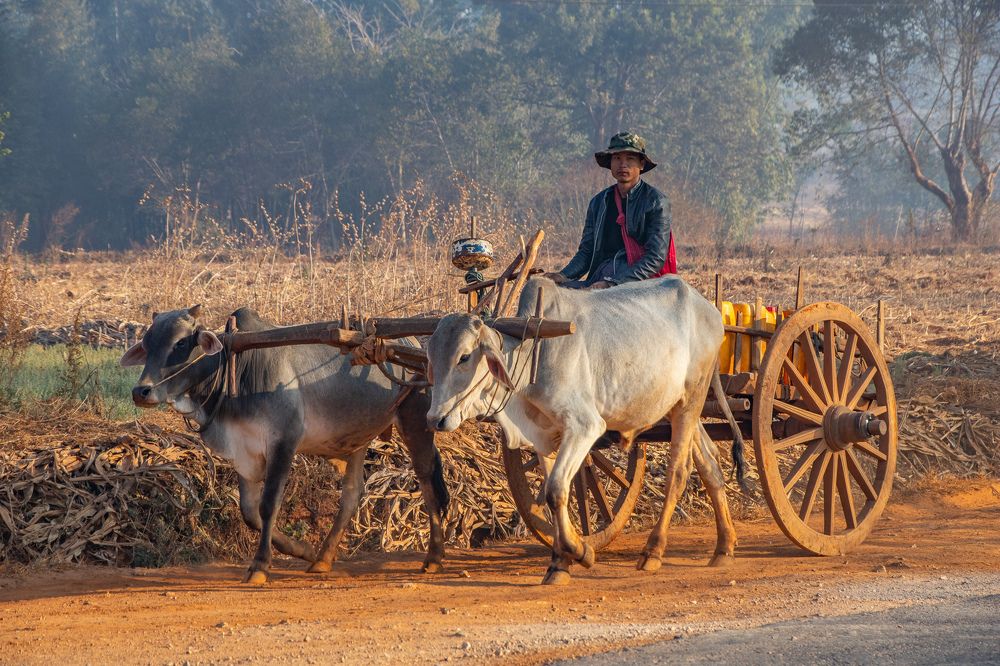 Photograph by Colette van Eck