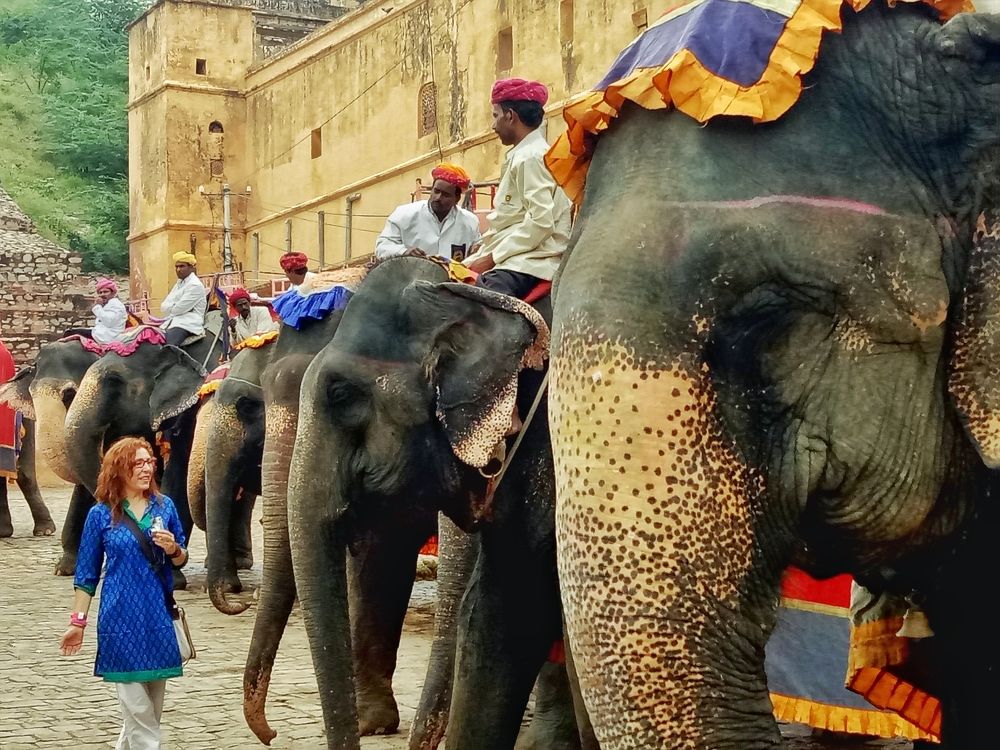 Photograph by Sai Vamsi Krishna Vintha