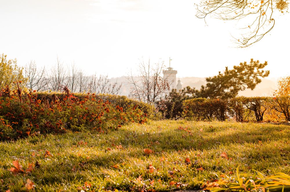 Photograph by Анастасия Гуцалова