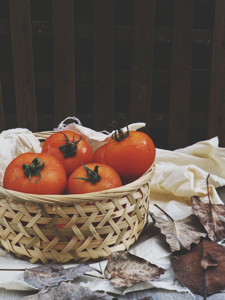 Photograph by Isa Tan