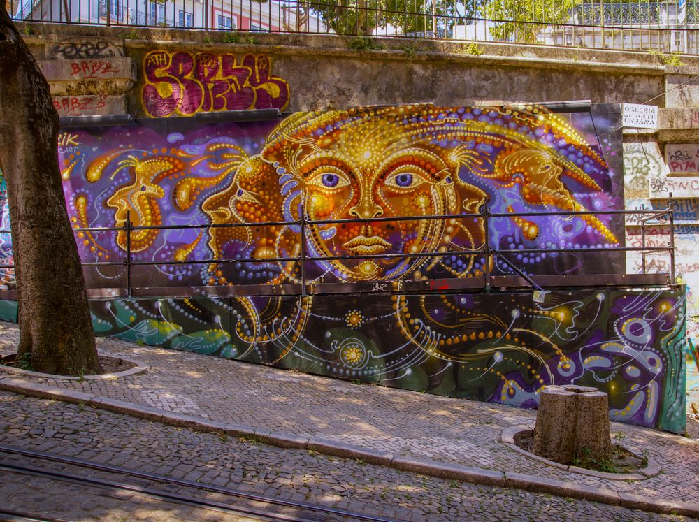 Photograph by Mário C.