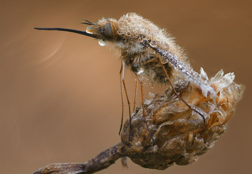 Photograph by Кузнецов Дмитрий