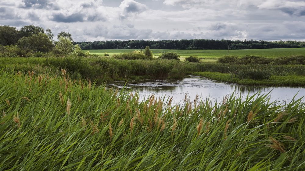 Photograph by Олег Архипов