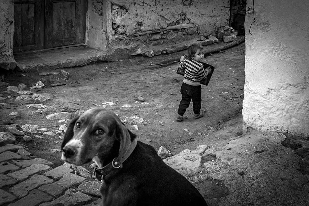 Photograph by Haluk Alp