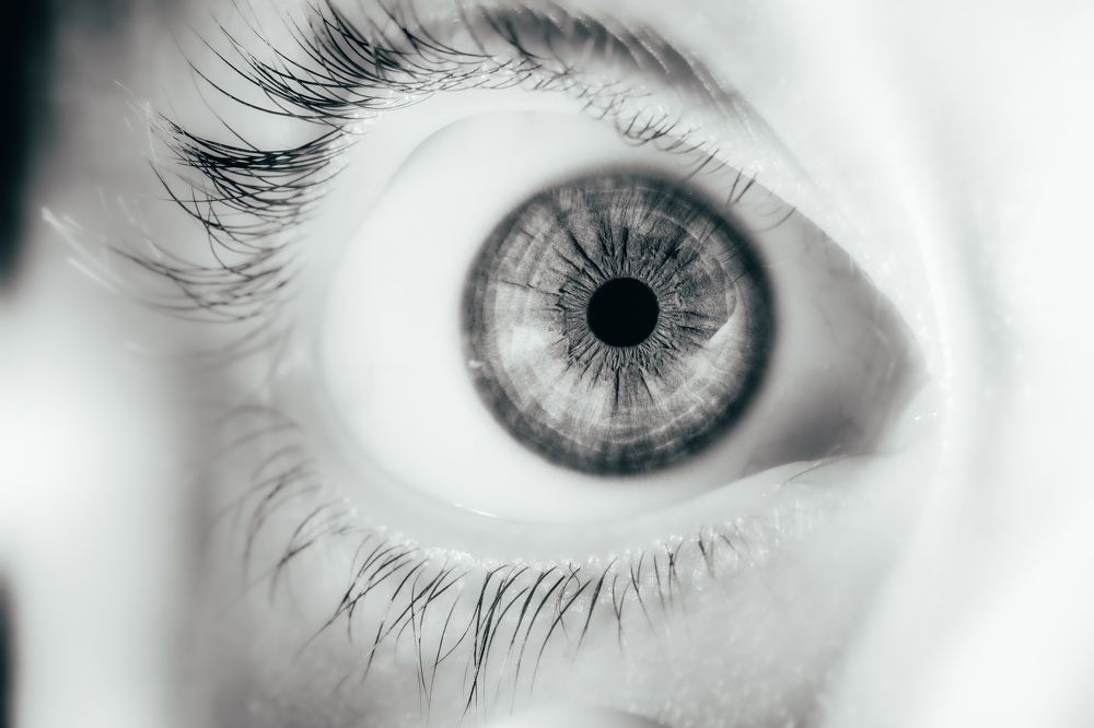 Photograph by Olasz Laszlo