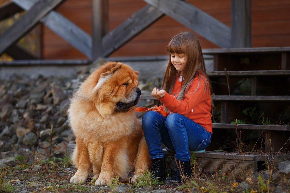 Photograph by Елена Фалеева