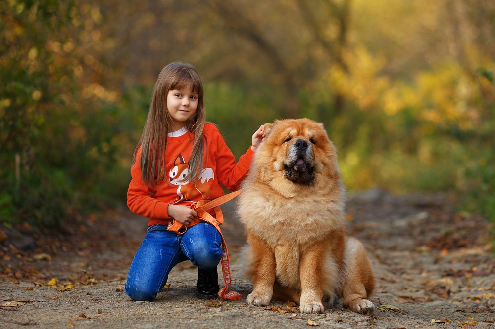 Photograph by Елена Фалеева