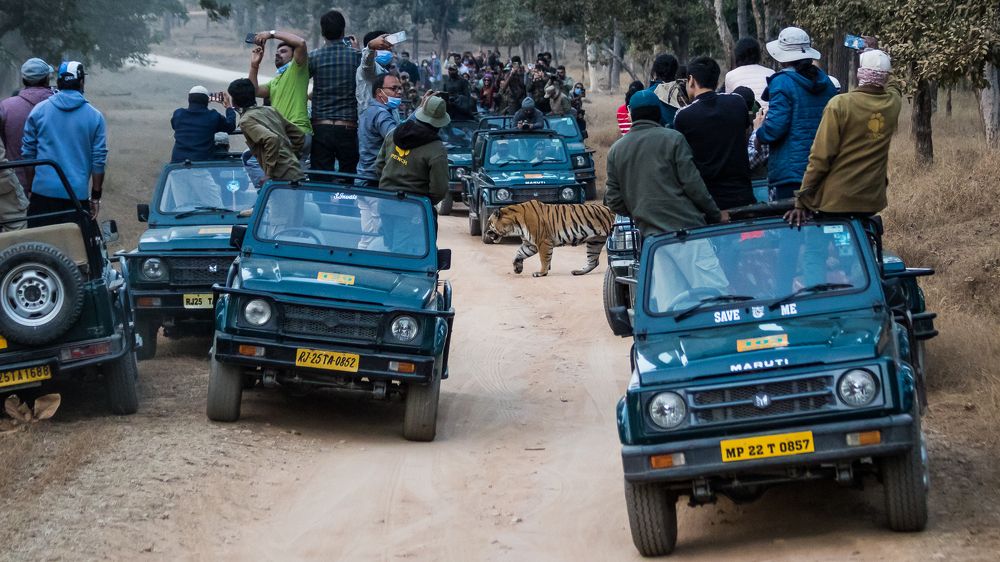 The Clickers and The Chaos!