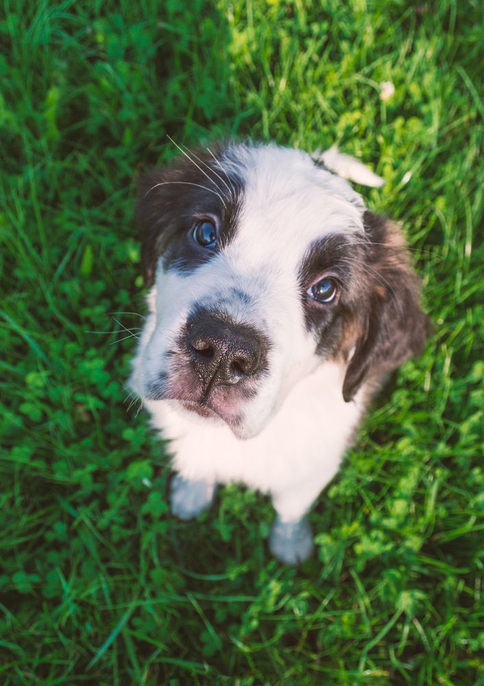 Photograph by Fahrudin Seferagić