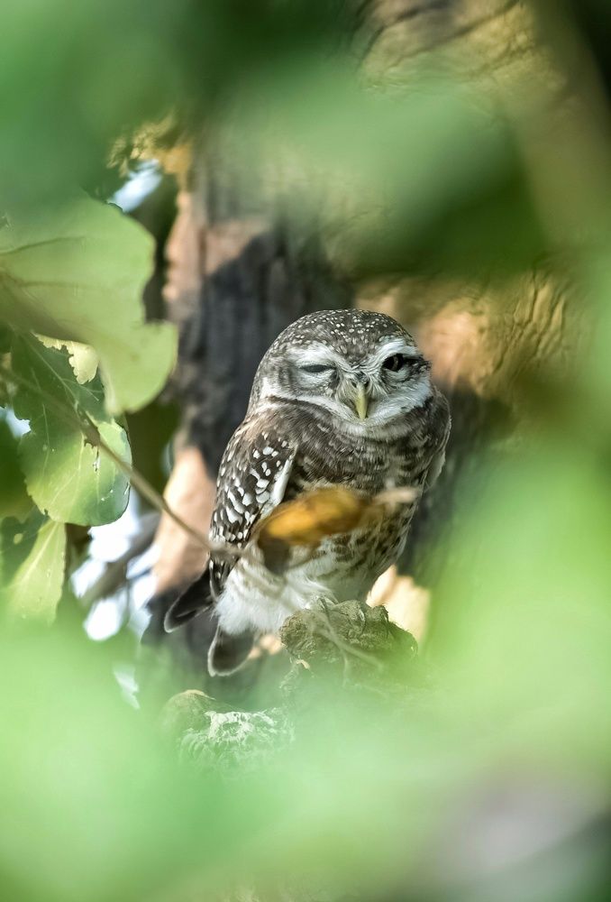 Photograph by YASH NEIL