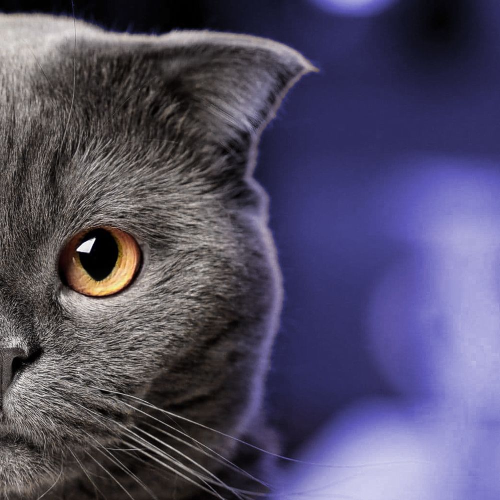 Взгляд в душу