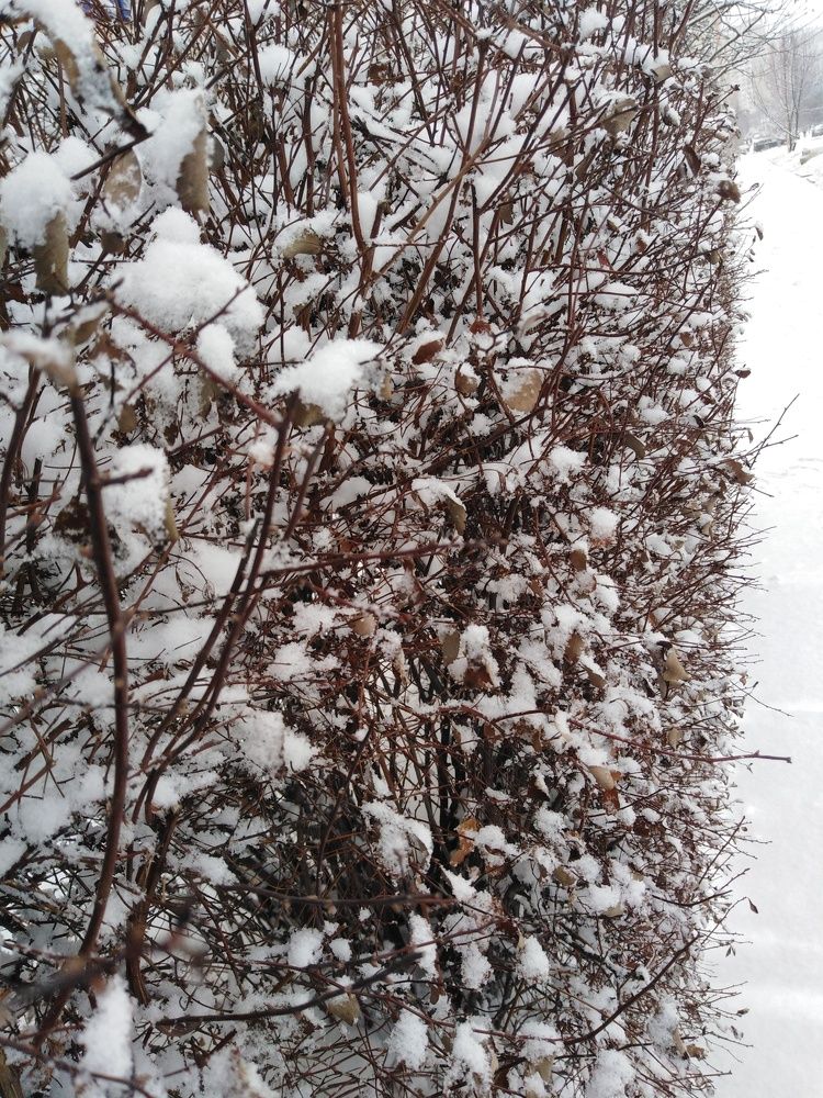 Photograph by Татьяна Ситникова