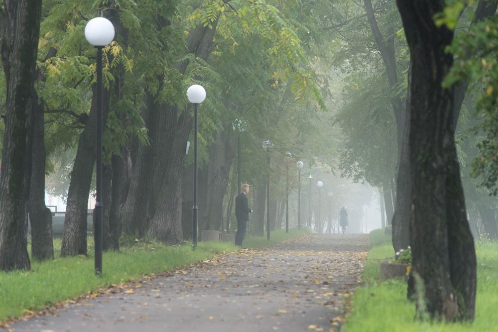 Photograph by Константин Пелых