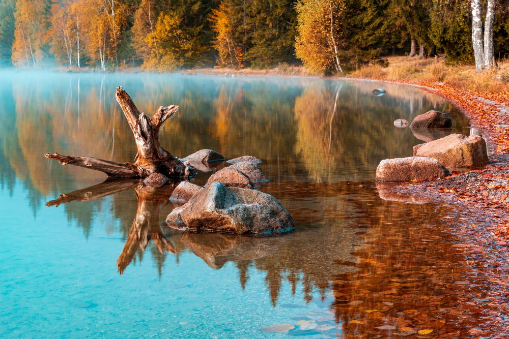 Photograph by Borviz Attila