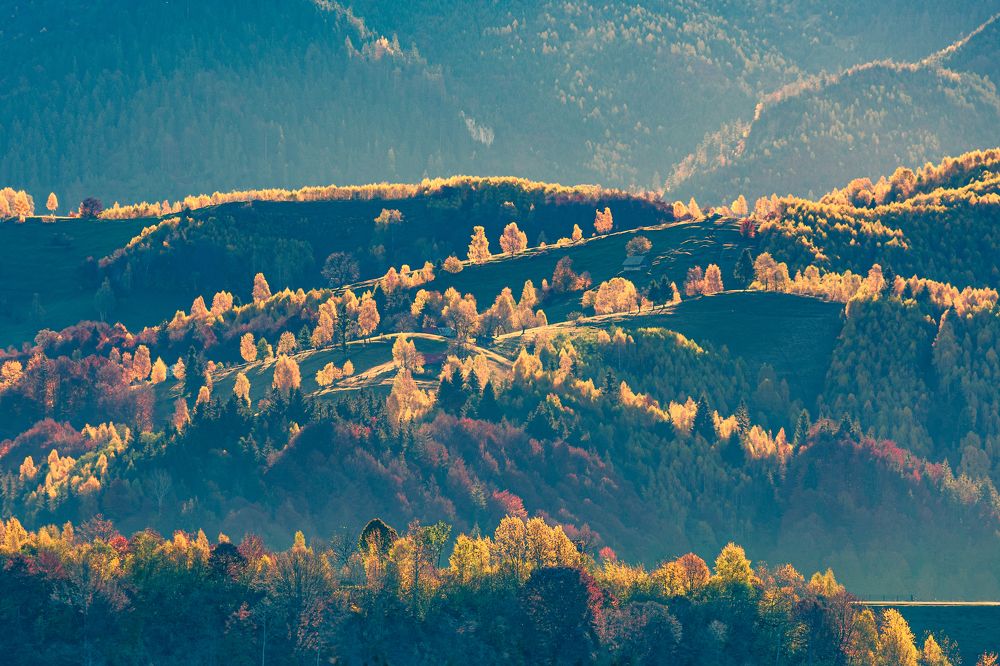 Photograph by Borviz Attila