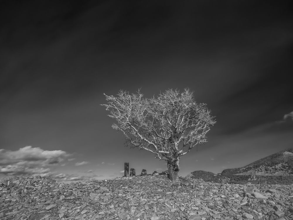 Photograph by Александр Варакин