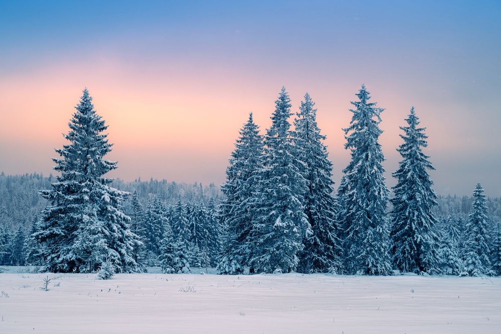 Photograph by Borviz Attila