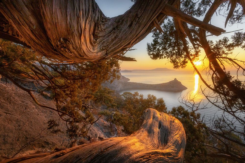 Photograph by Александр Костенко