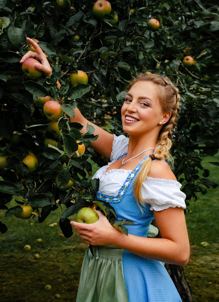 Harvesting in Germany