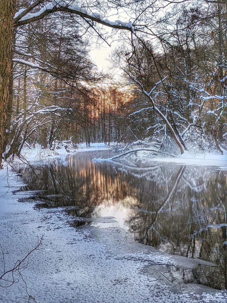 Photograph by Владимир Шаруба
